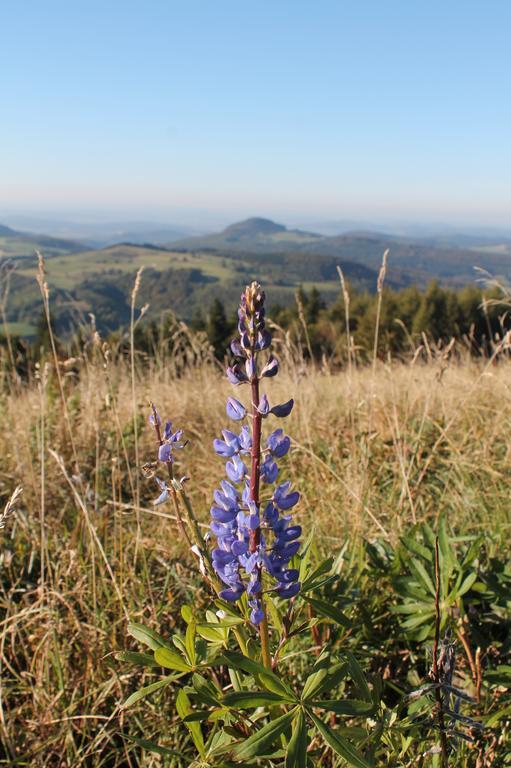Pension Gasthof Zum Lamm Bischofsheim an der Rhön Εξωτερικό φωτογραφία
